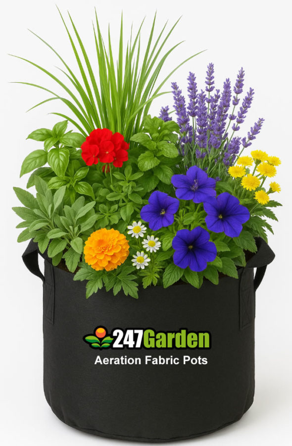 247Garden Guide: Best Plants to Grow in Fabric Pots to Repel Mosquitoes