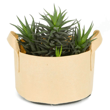 Why Use Wide Grow Bags?