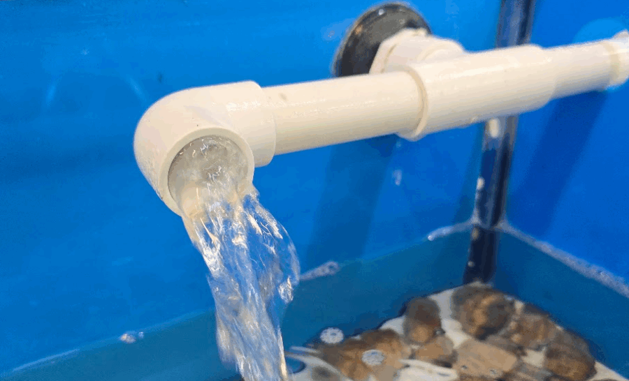 What Is NSF-61 PVC Pipe and Why Is It Important for your Safety?