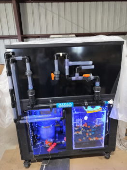 Schedule 40 vs. Schedule 80 PVC Fittings for High-End Aquarium Reef Systems – Which Should You Choose?