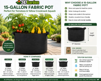 What Size Grow Bag Is Best for Tomatoes and Yellow Crookneck Squash?