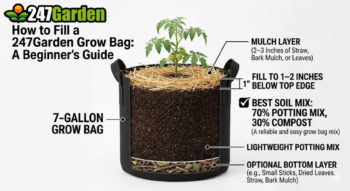 How to Fill Grow Bags to Grow Fresh Vegetables - A Beginner-Friendly Guide for 247Garden Aeration Fabric Pots