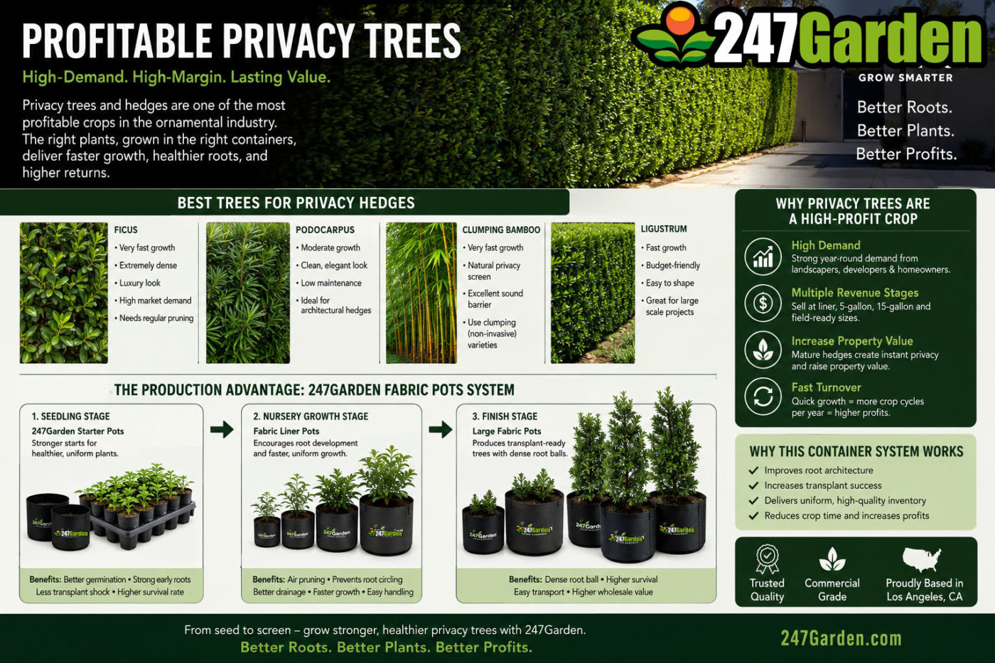 Commercial Privacy Trees for Profit, Luxury Landscaping, and High-Density Hedge Production