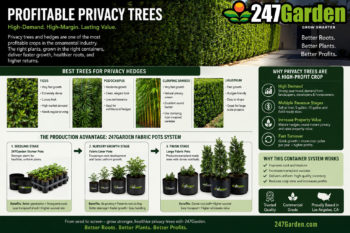 Commercial Privacy Trees for Profit, Luxury Landscaping, and High-Density Hedge Production