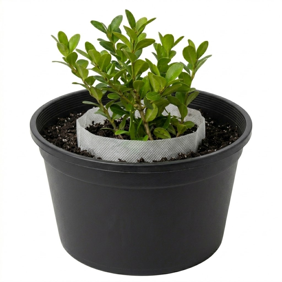 Are Fabric Seedling Pots Good for Transplanting? Why 247Garden Seedling Pots Make Transplanting Easier and Healthier