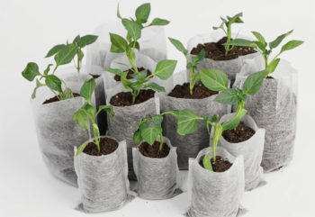 Using Fabric Grow Bags for Microgrowery